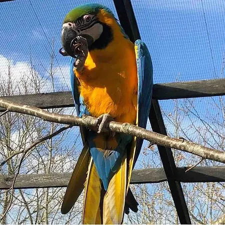 Zoo Taet Pa Legoland, Lego-house, Lalandia Daire