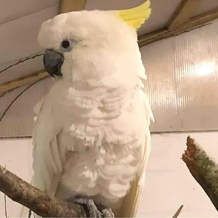 Appartement Zoo Tæt På Legoland, Lego-house, Lalandia *