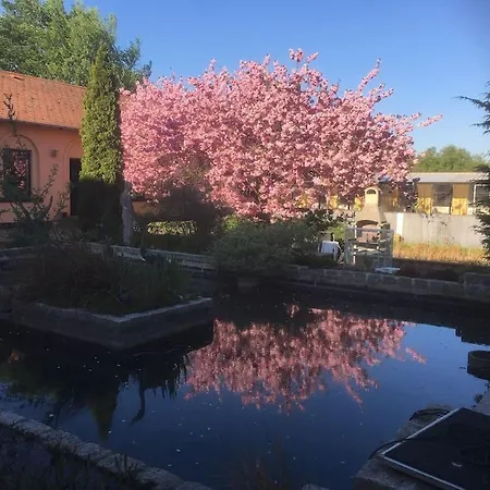 Zoo Taet Pa Legoland, Lego-house, Lalandia Daire