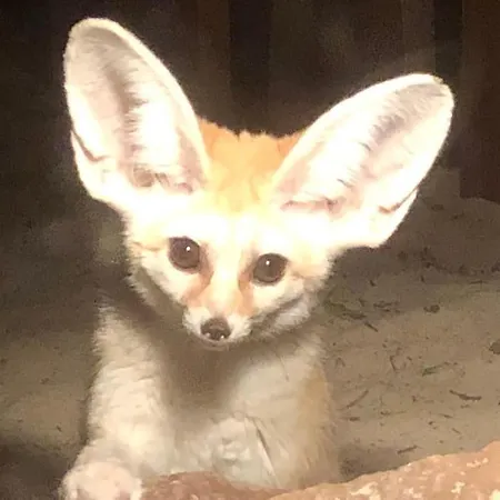 Zoo Taet Pa Legoland, Lego-house, Lalandia Daire Grindsted