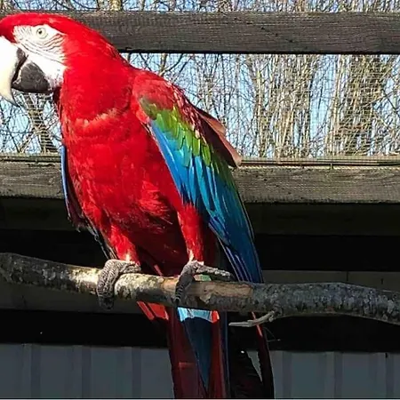 Zoo Taet Pa Legoland, Lego-house, Lalandia Grindsted