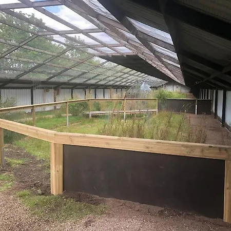 Appartement Zoo Tæt På Legoland, Lego-house, Lalandia