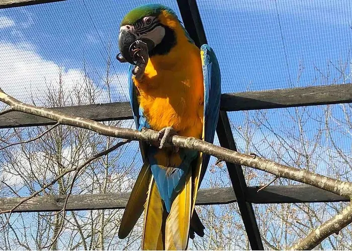 Zoo Taet Pa Legoland, Lego-house, Lalandia Апартаменты