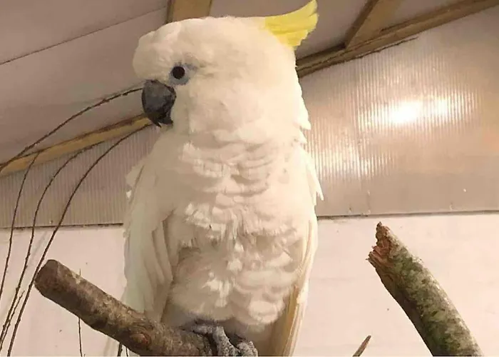 Apartment Zoo Taet Pa Legoland, Lego-house, Lalandia *