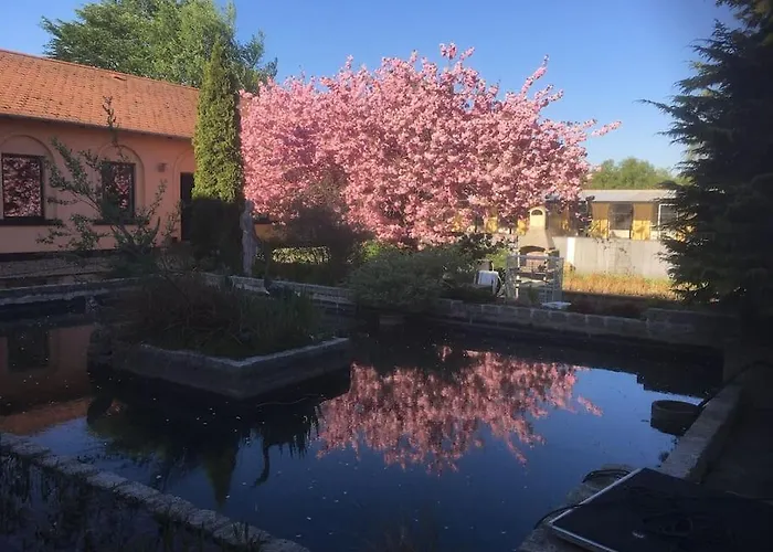 Zoo Taet Pa Legoland, Lego-house, Lalandia Apartment