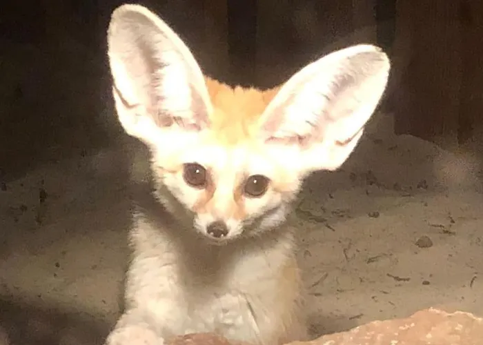 Zoo Taet Pa Legoland, Lego-house, Lalandia Apartment Grindsted