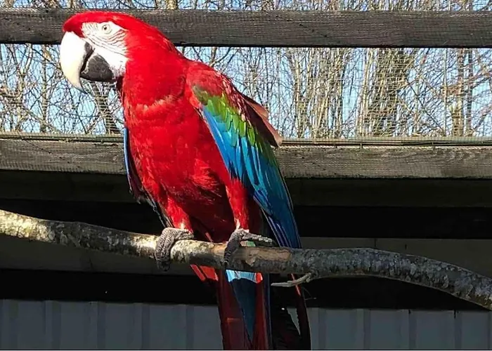 Zoo Taet Pa Legoland, Lego-house, Lalandia Гриннстед